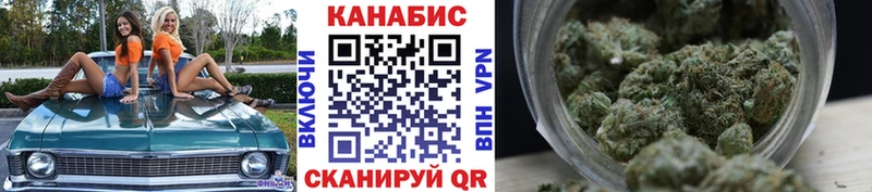 как найти наркотики  Суджа  Канабис гибрид 